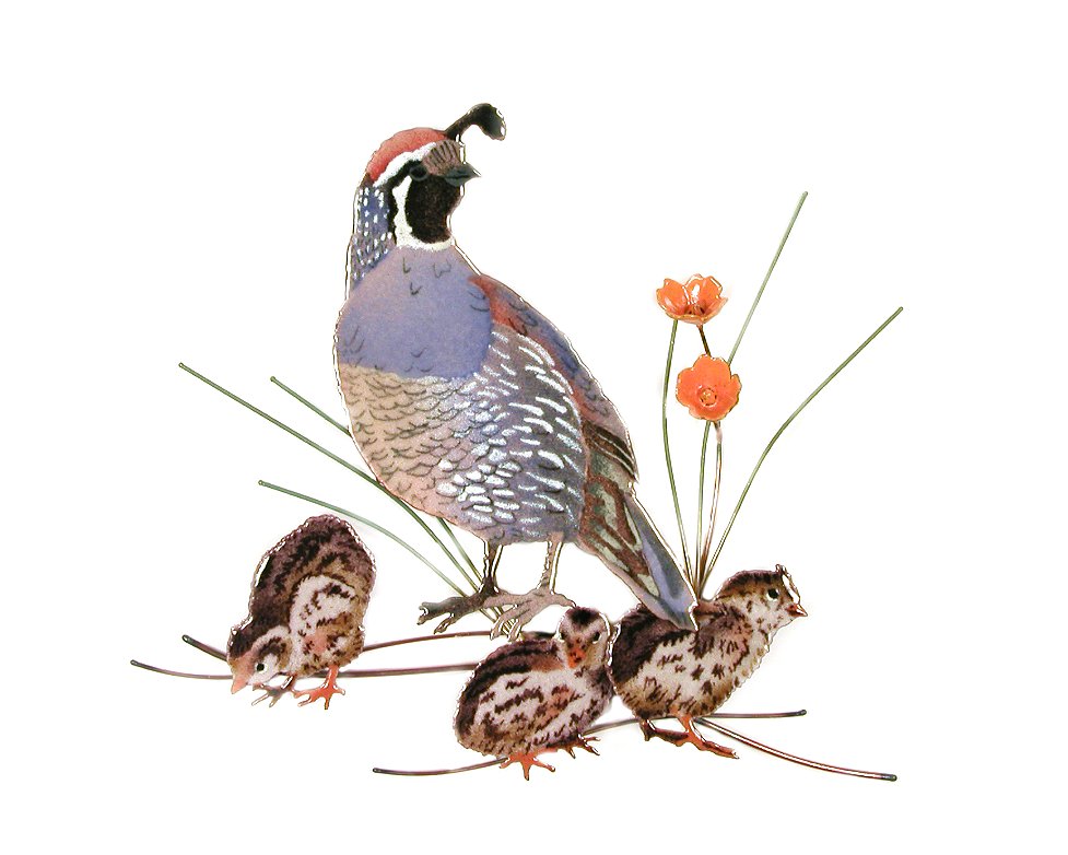 Quail/Male & Chicks Wall Art by Bovano