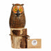 Hand Carved Owlets