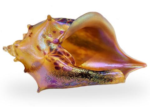 Handblown Glass Seashell in Sunrise - Available in Multiple Sizes
