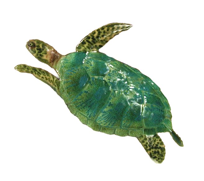 Sea Turtle, Small Single Wall Art by Bovano