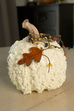 Pumpkin Gourds - Available in Multiple Styles and Sizes