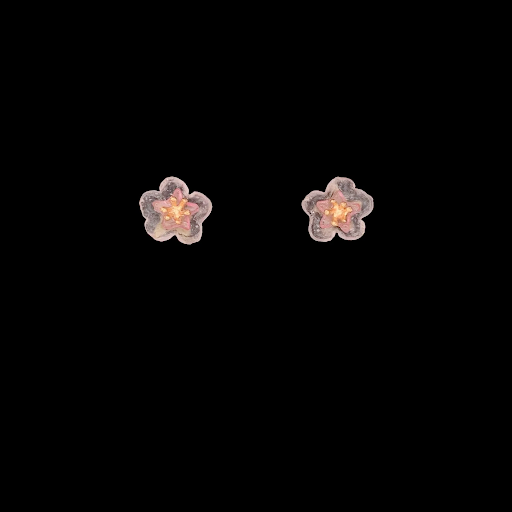 Peach Blossom Stud Earrings by Michael Michaud