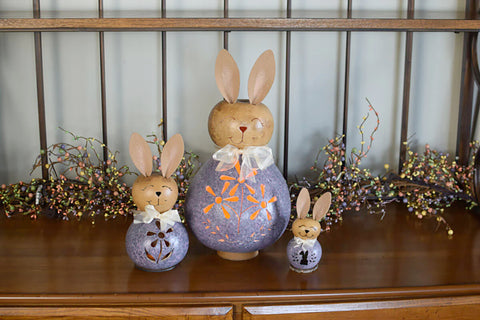 Aster Bunny Gourd Collection