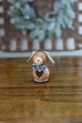 Little Pet Gourd Collection