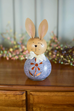 Aster Bunny Gourd Miniature