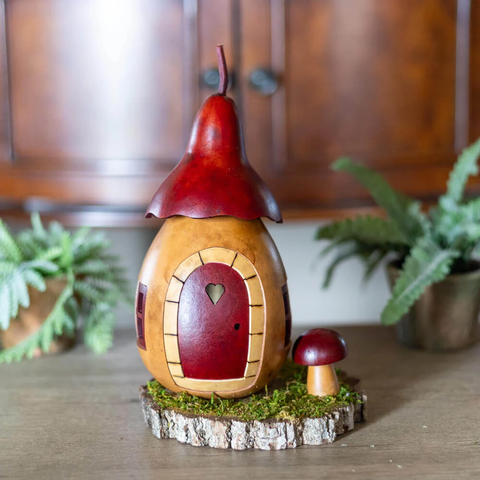 Fairy House Cottage Gourd
