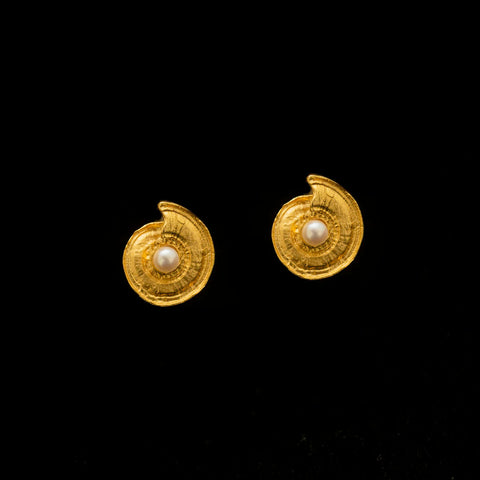 Nautilus Shell Post Earrings by Michael Michaud
