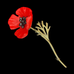 Red Poppy Brooch by Michael Michaud