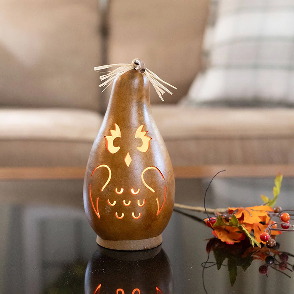 Mr Owl Lit Gourd