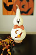 Halloween Mini Gourd