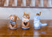 Little Pet Gourd Collection