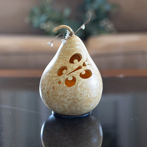 Yellow Butterfly Miniature Gourd