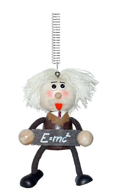 Einstein Handcrafted Wooden Jumpie