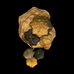Nasturtium Brooch by Michael Michaud
