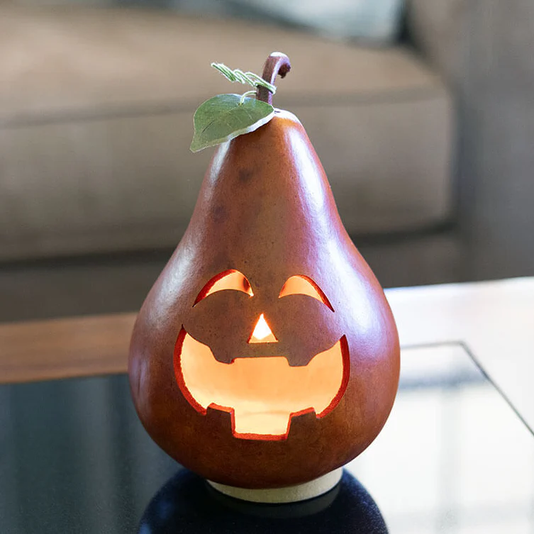 Reuban Pumpkin Lit Gourd
