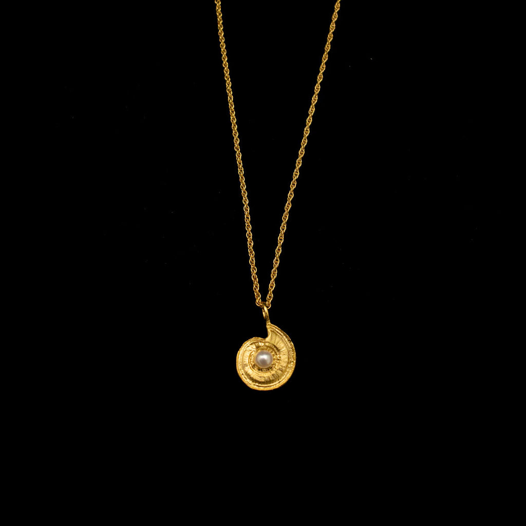 Nautilus Shell 16 Inch Adjustable Pendant Necklace by Michael Michaud
