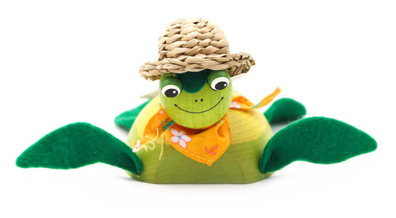 Turtle with Hat Handcrafted Wooden Jumpie