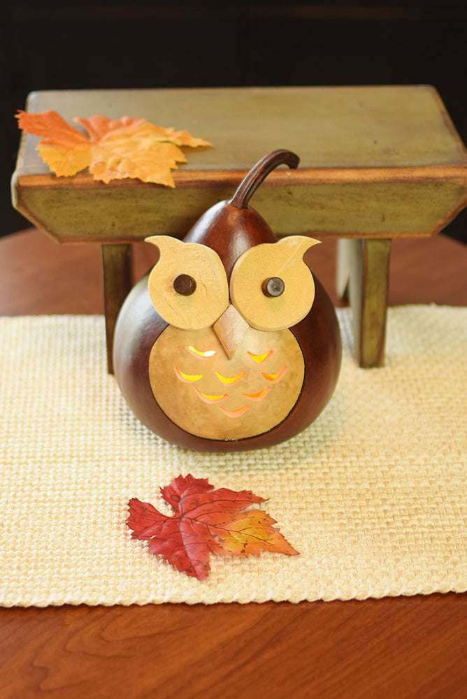 Oliver Owl Gourd - Available in Multiple Sizes