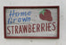 Home Grown Strawberries with Painted Strawberry White with Red Trim Americana Art