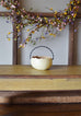 Pastel Easter Basket Gourd