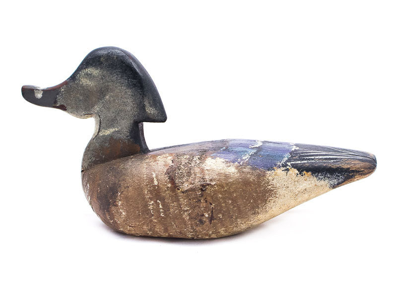 Wood Duck Hen by Chris Boone