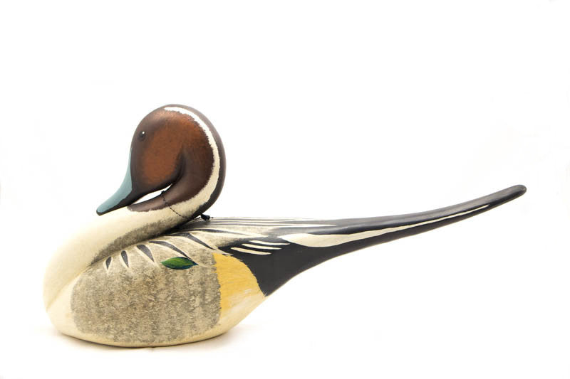 Large Unique Pintail Duck by Chris Boone