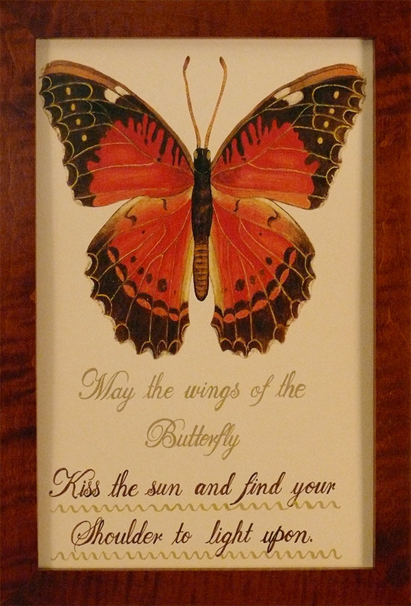 May the Wings of the Butterfly by Susan Daul