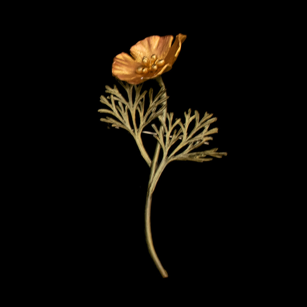 California Poppy Brooch By Michael Michaud