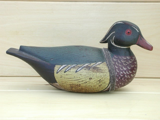 Crested Wood Duck