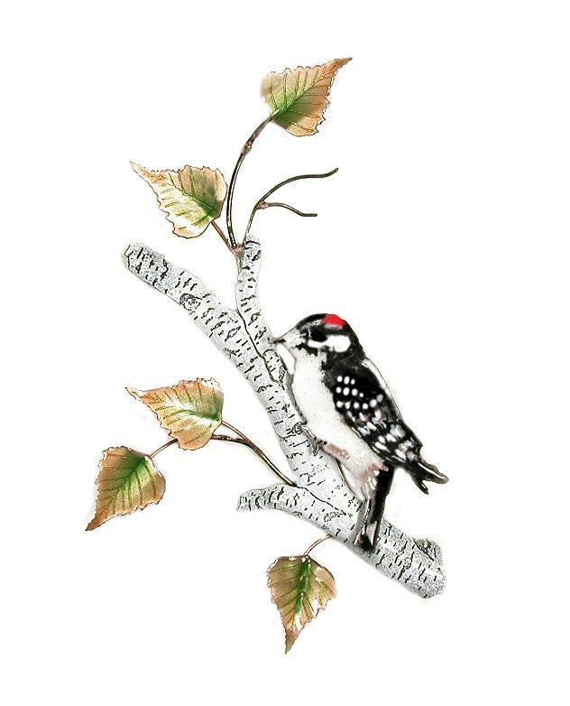 Downy Woodpecker on Birch Wall Art by Bovano Cheshire