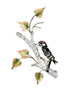 Downy Woodpecker on Birch Wall Art by Bovano