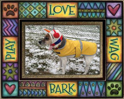 Love Play Bark Large Frame