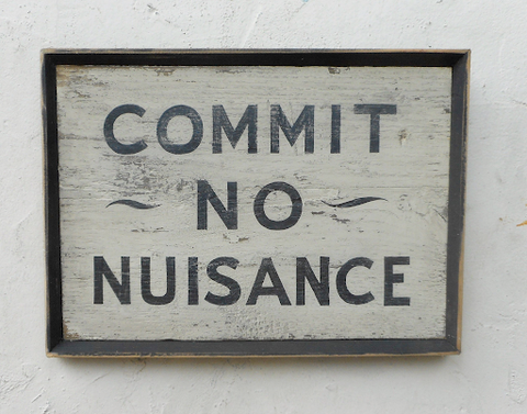Commit No Nuisance Americana Art
