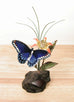 Blue Butterfly on Manzanita Wall Art by Bovano
