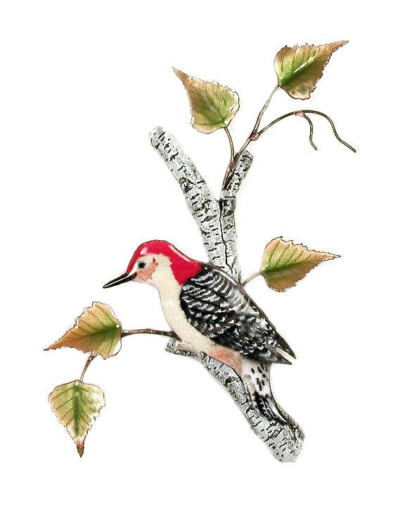 Red-Bellied Woodpecker on Birch Wall Art by Bovano Cheshire