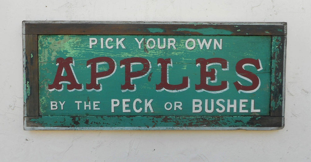 Pick Your Own Apples by the Peck or Bushel Americana Art