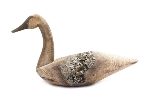 Swan by Chris Boone