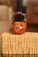 Spooky Little Basket Gourds - Available in Multiple Styles