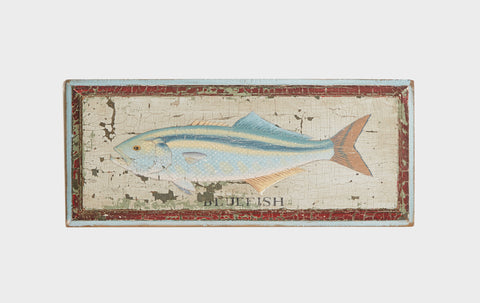 Bluefish Americana Art