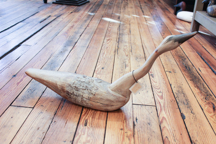 Looking Swan by Chris Boone