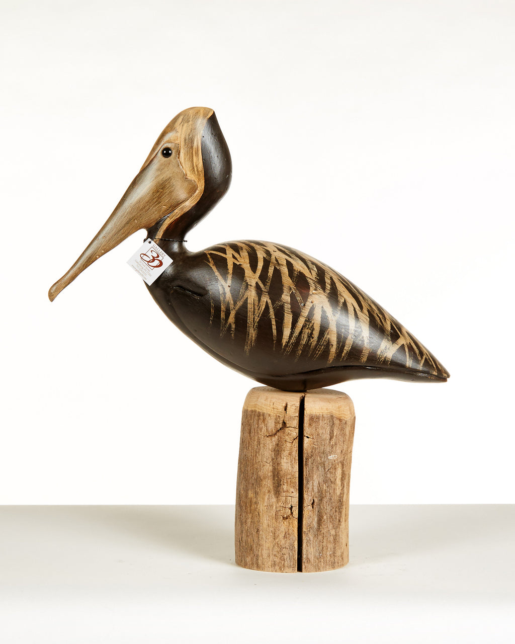 Brown Pelican by Paul Irving