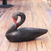 Black Swan by Chris Boone