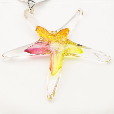 Small Starfish in Amber