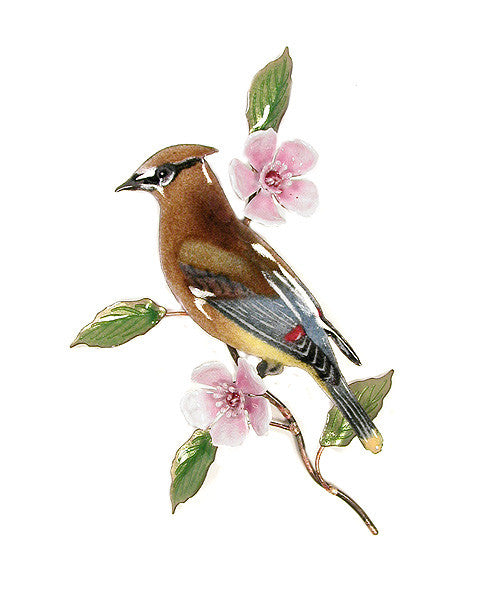 Cedar Waxwing with Cherry Blossom Wall Art by Bovano Cheshire