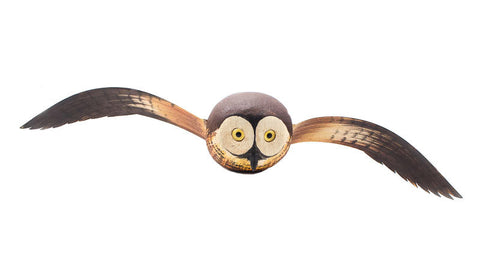 Flying Sawwhet Owl Flying