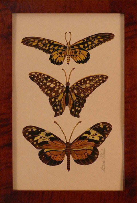 Three Yellow and Black Butterflies by Susan Daul