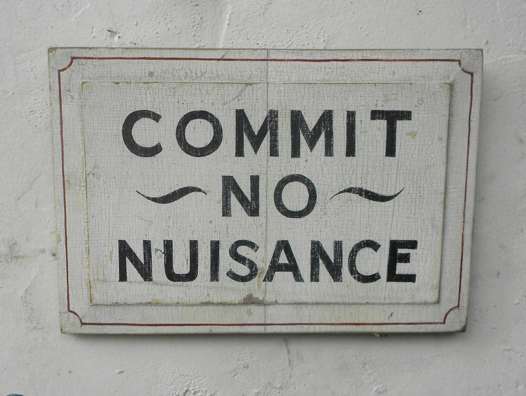 Commit No Nuisance Americana Art