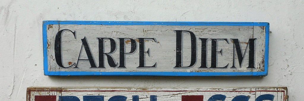Carpe Diem Sign 6 x 26