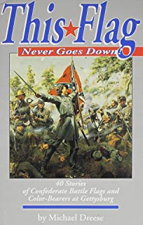 This Flag Never Goes Down!: 40 Stories of Confederate Battle Flags and Color-Bearers at Gettysburg by Michael Dreese