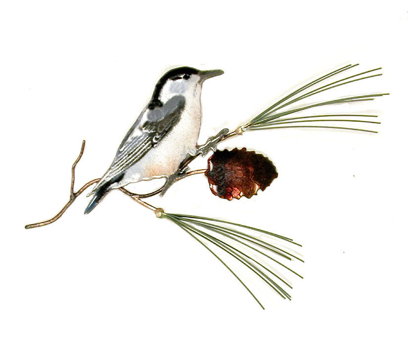 White Breasted Nuthatch on Pine Wall Art by Bovano Cheshire